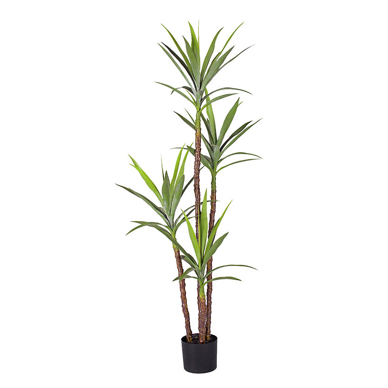 180cm Artificial Dracaena Yucca Tree Green Indoor Plant with Black Pot Decor