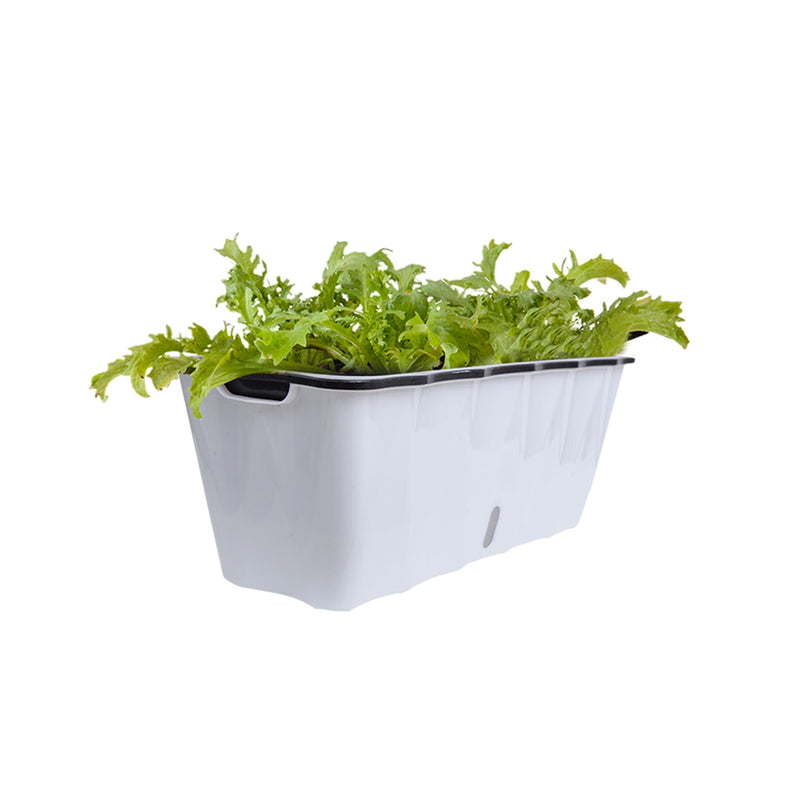 Plastic Rectangular Flower Pot 50x20x19cm Dual Layer Self Watering White