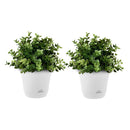 White Plastic Self Watering Plant Pot Indoor Outdoor Garden 19.5cm Set of 2