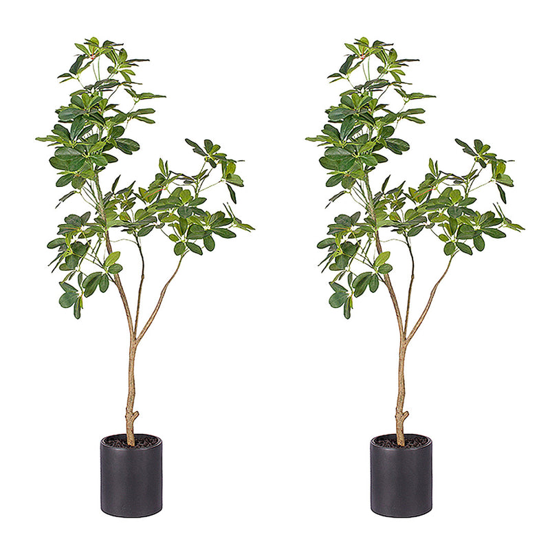 2X 160cm Artificial Schefflera Dwarf Umbrella Tree Green Polyethylene For Indoor