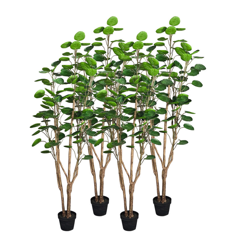 4X 150cm Artificial Potted Polyscias Scutellaria Tree Plastic Pu Green Trunk