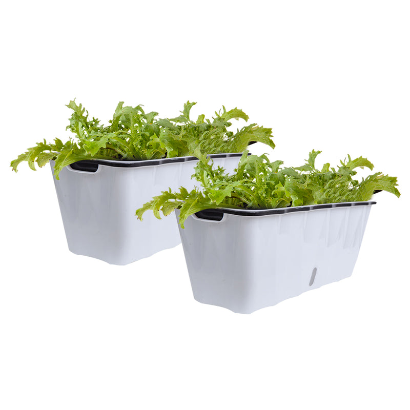 2X Large White Rectangular Plastic Planters 50x20x19cm Iron Frame Drainage Holes