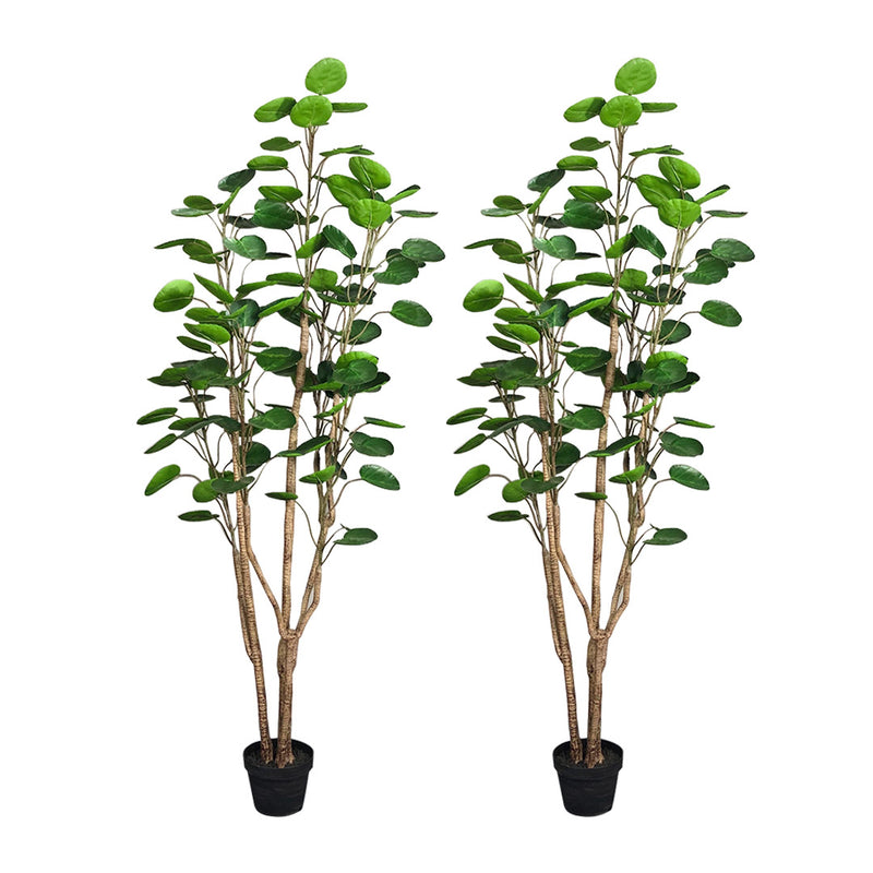2X 180cm Artificial Polyscias Scutellaria Tree Potted Plastic Green Indoor