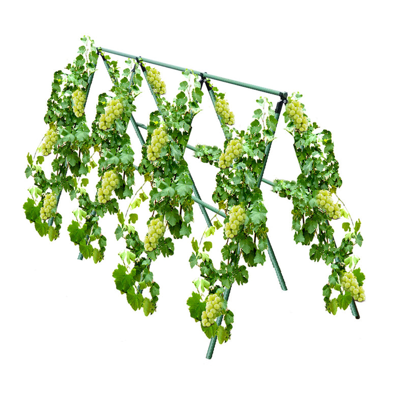 120cm Plant Frame Trellis Metal Pvc Adjustable Green Outdoor Vine Support