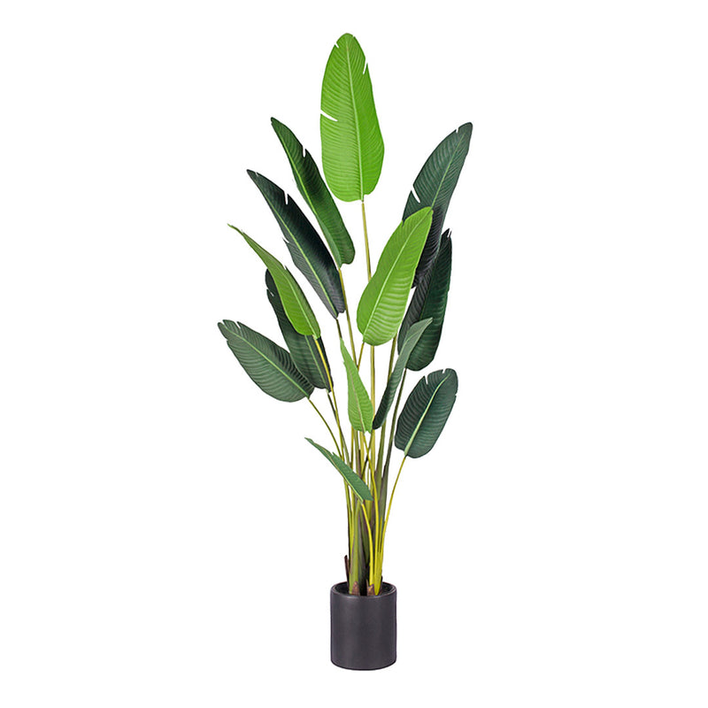 220cm Artificial Birds Of Paradise Tree Polyester Leaves Polyurethane Stem Green