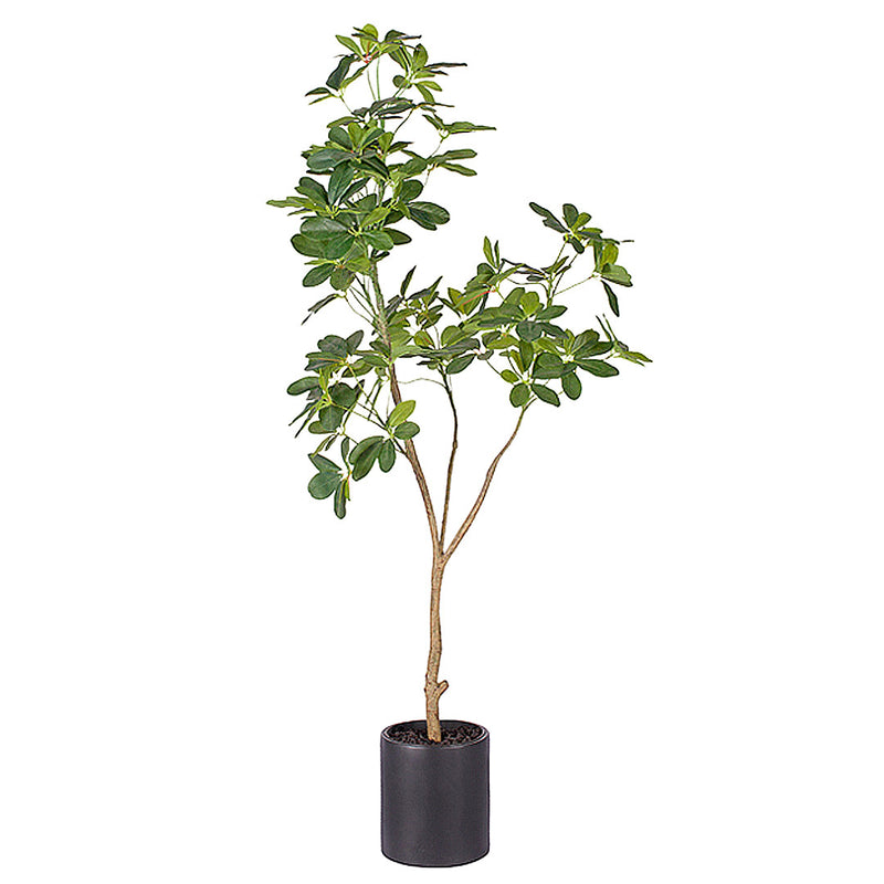 160cm Artificial Schefflera Umbrella Tree Polyethylene Green Black Pot