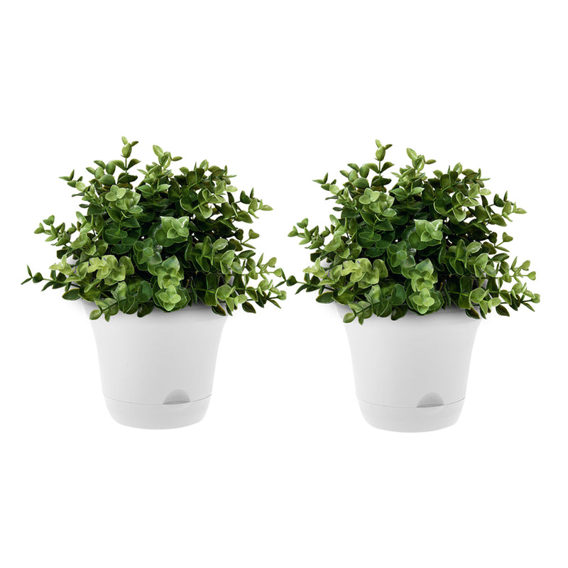 19.5 Cm White Self Watering Plastic Plant Pot Indoor Outdoor Set of 2