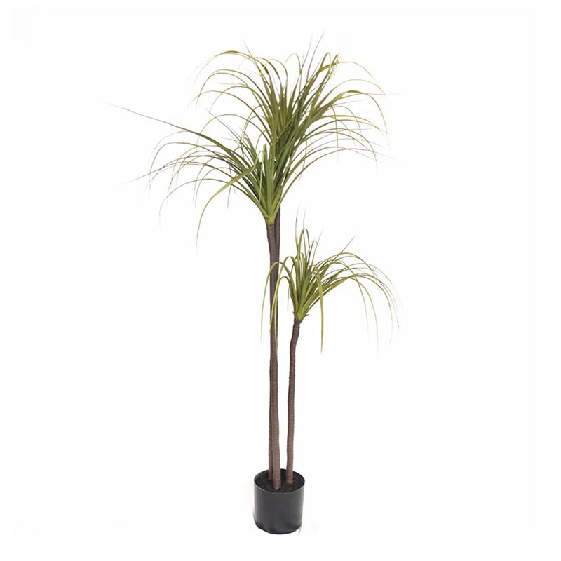 Realistic Artificial Potted 145cm Polyscias Plant Polyurethane Green