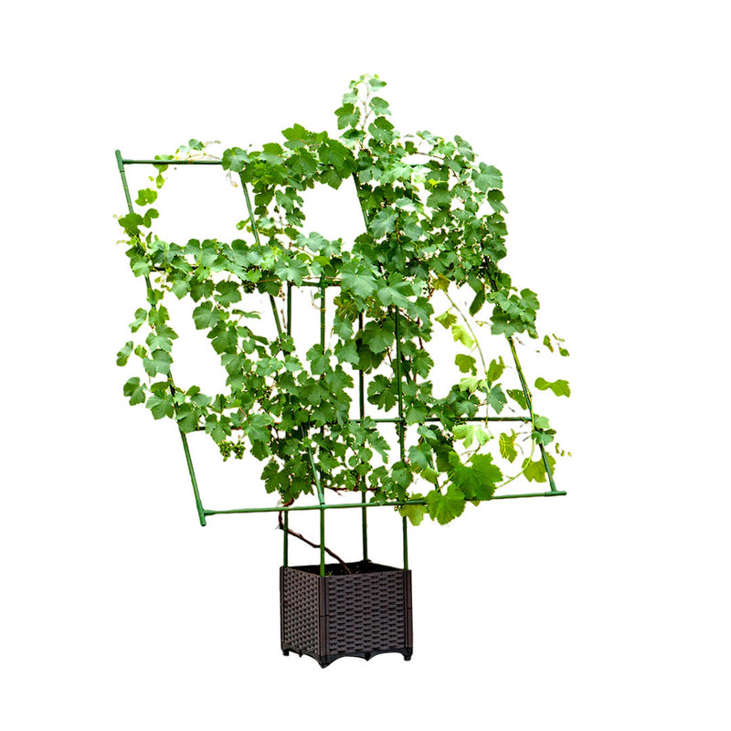 160x160cm Inclined Plant Trellis Frame Metal Pvc Garden Vine Support Green