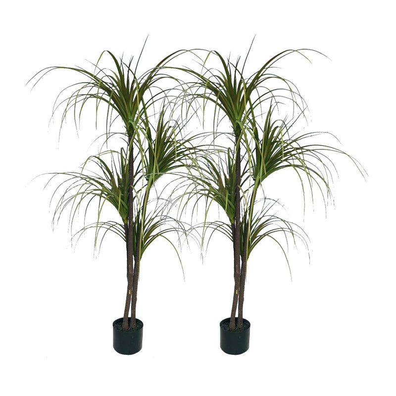 2X 150cm Faux Potted Polyscias Plant Polyurethane Green Realistic Indoor Outdoor