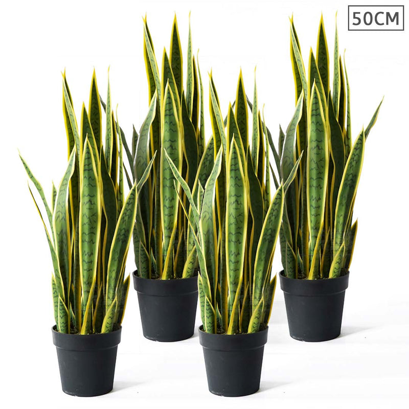 4X Artificial 50cm Yellow Edge Tiger Piran Indoor Plant Realistic Decor Pot
