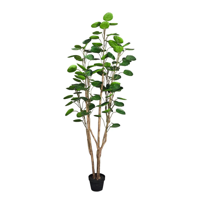 150cm Artificial Polyscias Scutellaria Tree Plastic PU Adjustable Green Indoor Decor