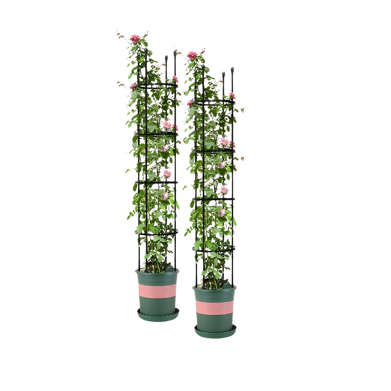 2X 163cm Steel Garden Plant Trellis Frame Stand Support Rings Black Outdoor