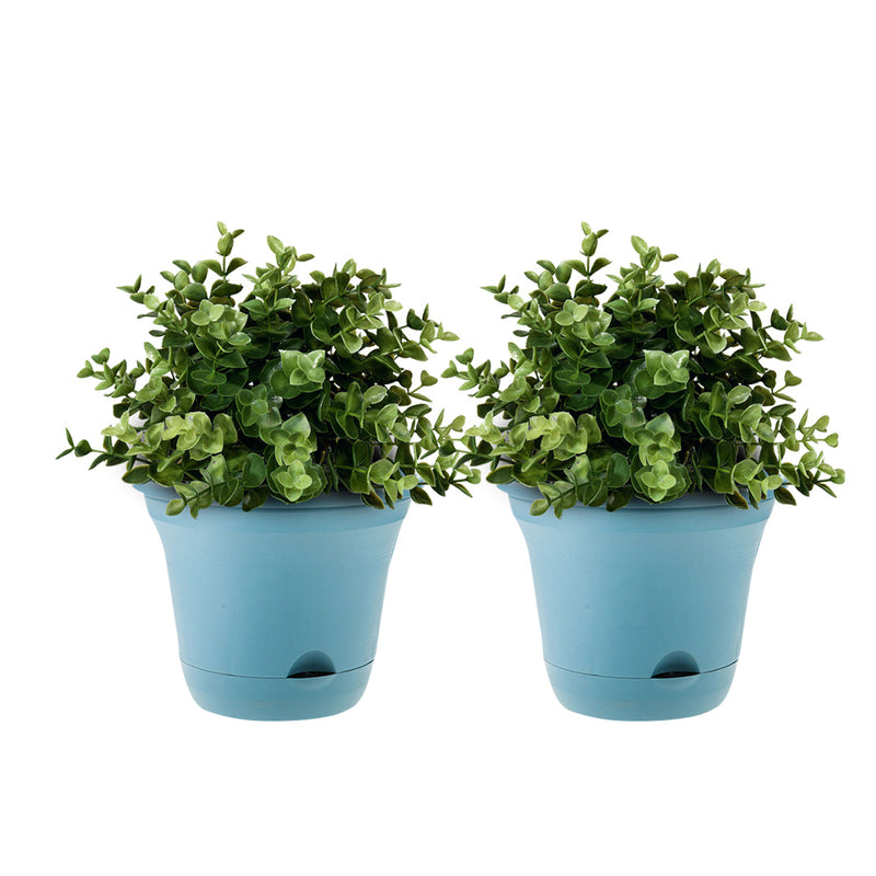 Blue Plastic Self Watering 19.5cm Plant Pot Flower Bonsai Outdoor Decor Set of 2