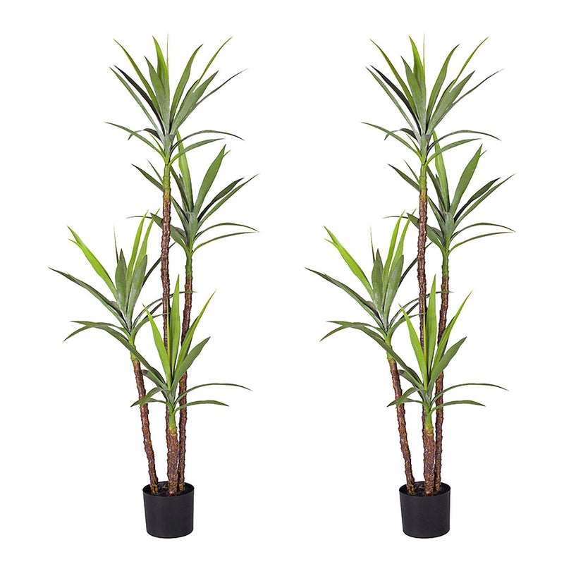 2X 180cm Polyethylene Realistic Yucca Dracaena Tree Green Pot