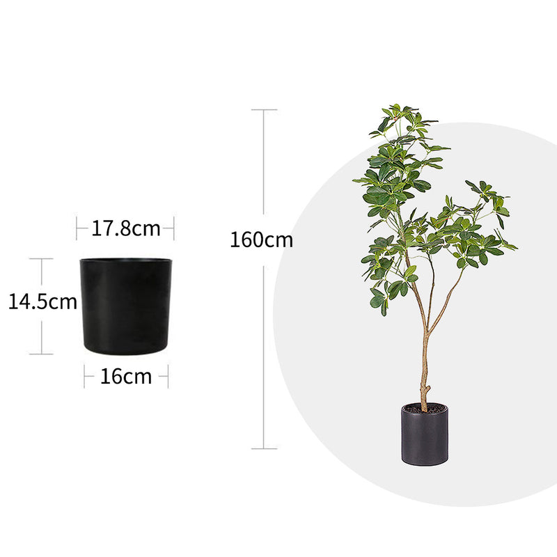 2X 160cm Artificial Schefflera Dwarf Umbrella Tree Green Polyethylene For Indoor