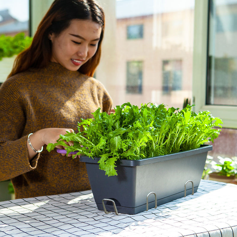 Rectangular Black Planter Box 49.5cm Plastic Herb Vegetable Garden Set of 2
