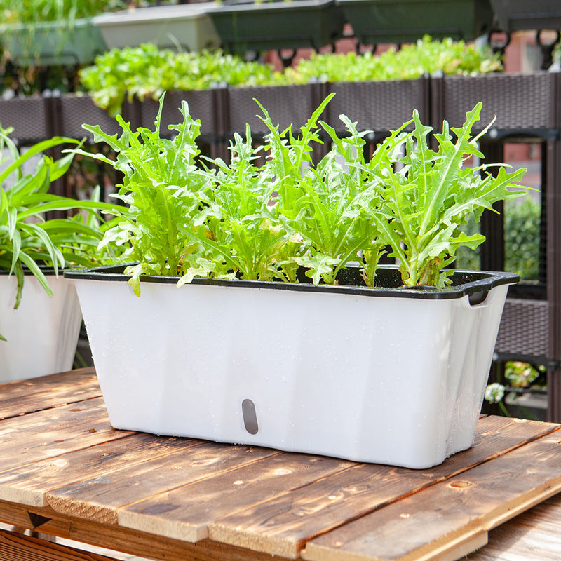 2X Large White Rectangular Plastic Planters 50x20x19cm Iron Frame Drainage Holes