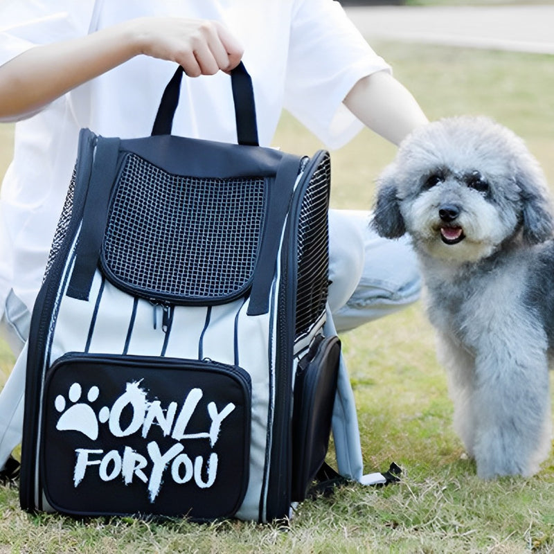2X Black Pet Carrier Backpack Breathable Mesh Oxford Cloth Travel Essentials