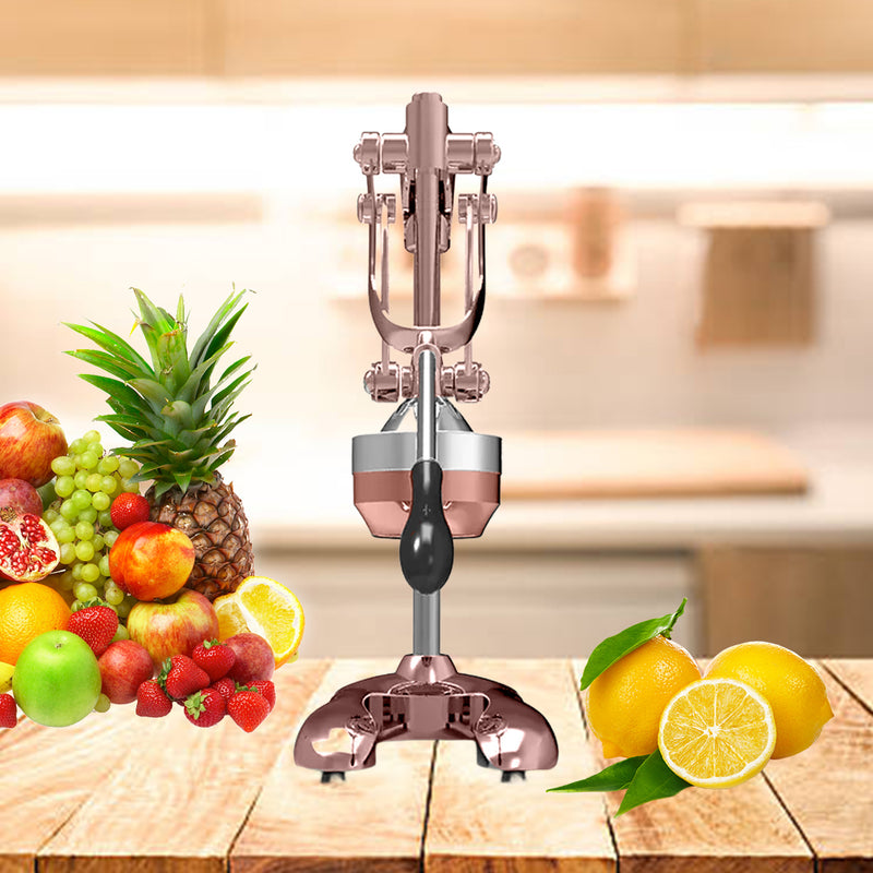2X Manual Citrus Juicer Hand Press 48cm 304 Stainless Steel Gold