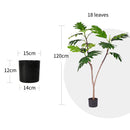 120cm Artificial Green Split-Leaf Philodendron Tree Indoor Outdoor Decor