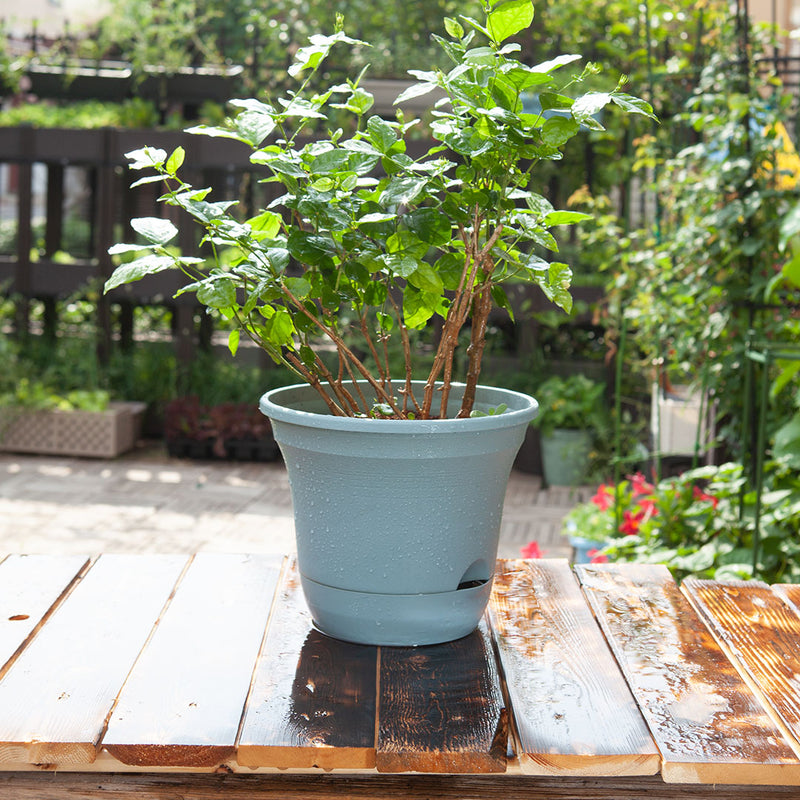 Blue Plastic Self Watering Planter Pot 19.5 cm Indoor Outdoor Garden Decor Set of 3