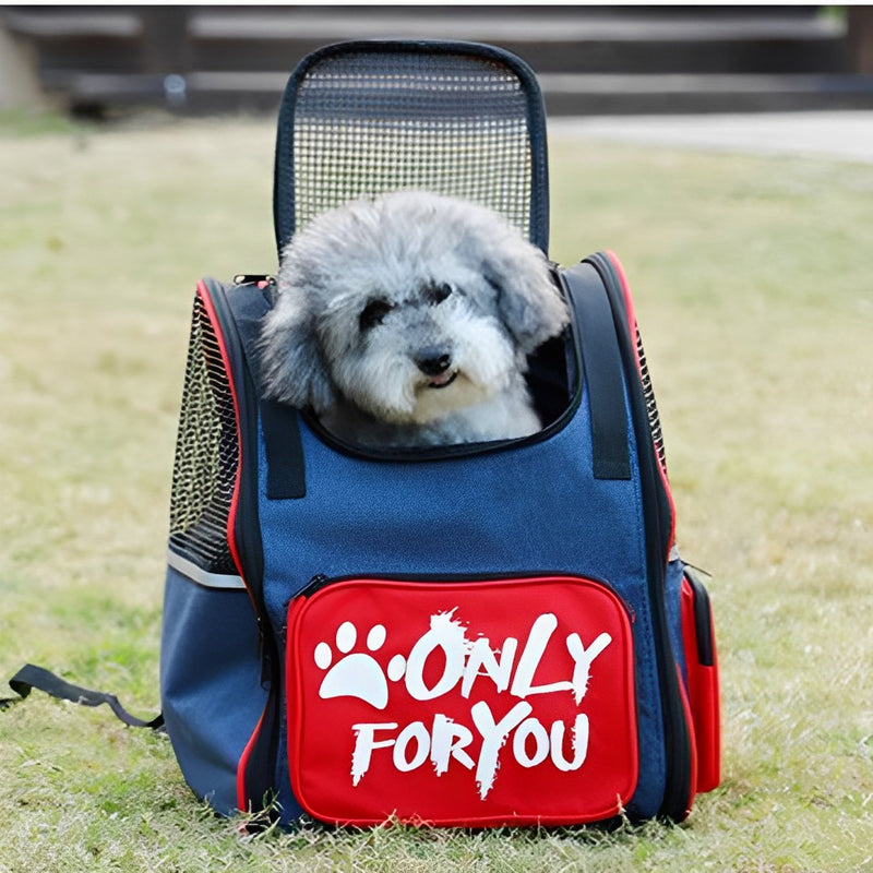 Red Pet Carrier Backpack Oxford Cloth Breathable Mesh Safety Travel Bag