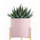2X 60cm Gold Metal Plant Stand Pink Pot Holder Corner Shelving Rack Indoor Display