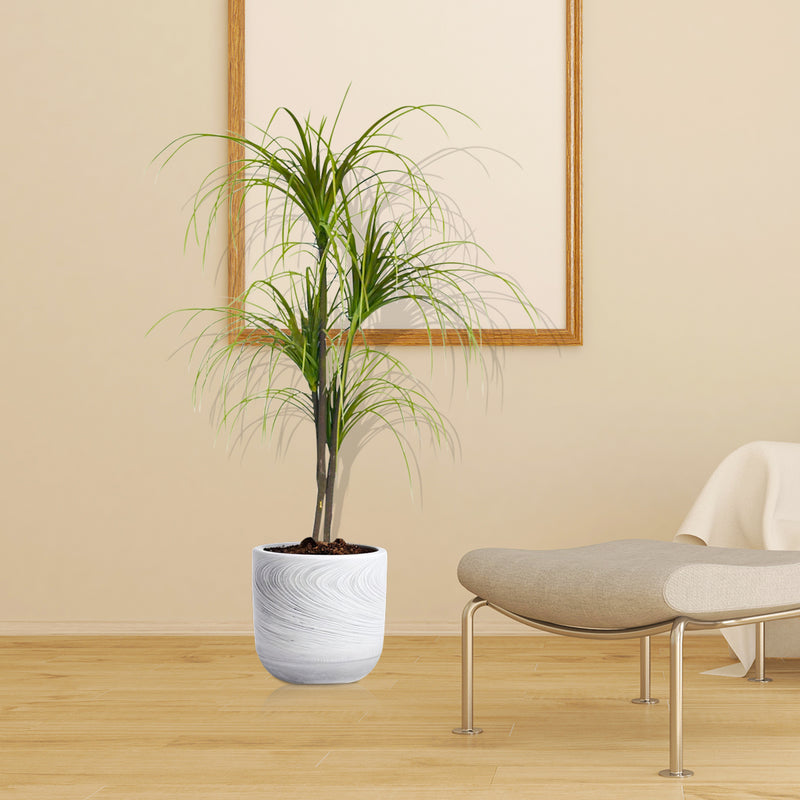 150cm Artificial Potted Polyscias Plant Realistic Synthetic Indoor Outdoor Green