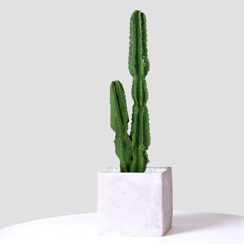 4X 95cm Polyurethane Realistic Artificial Cactus Plant 2 Heads Green