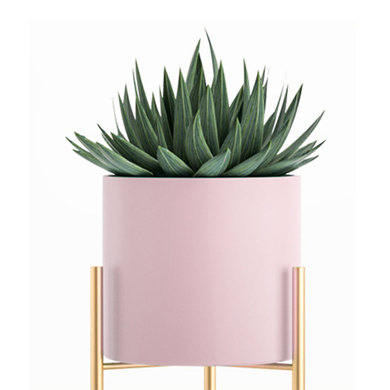 2 Layer Gold Metal Plant Stand 60cm With Pink Pot Holder Indoor Shelving Rack