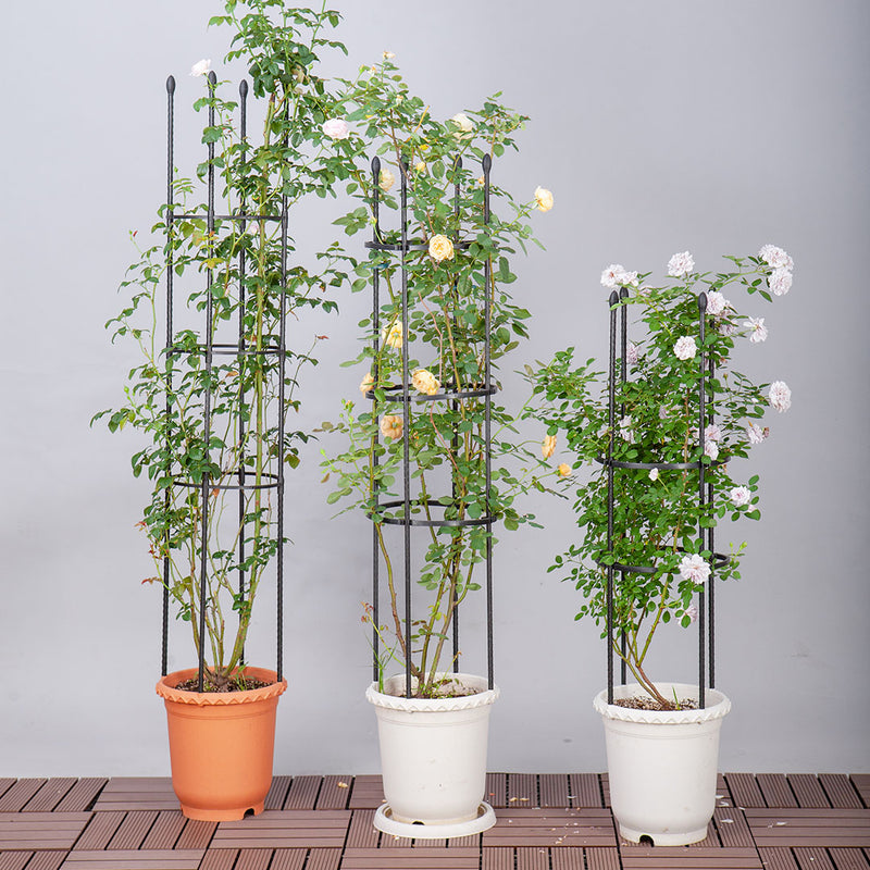 Plant Trellis 163cm 4 Bar Steel Black Adjustable Rings Vine Support