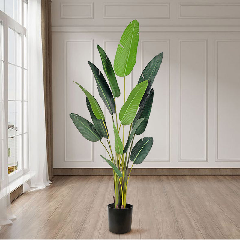 220cm Artificial Birds Of Paradise Tree Polyester Leaves Polyurethane Stem Green