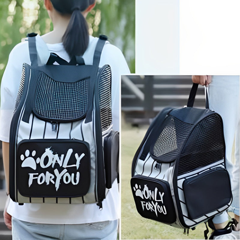 2X Black Pet Carrier Backpack Breathable Mesh Oxford Cloth Travel Essentials