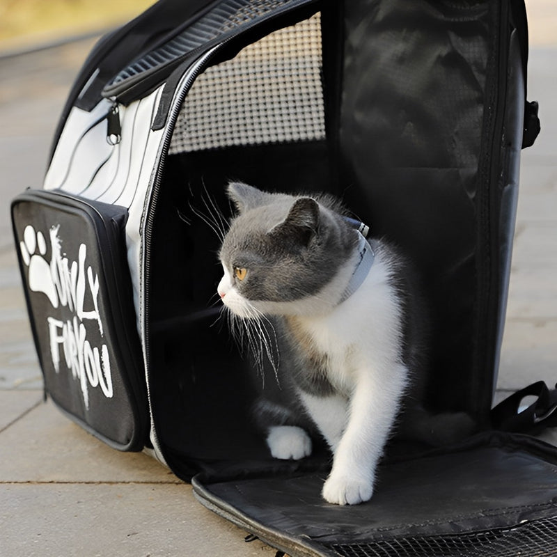 2X Black Pet Carrier Backpack Breathable Mesh Oxford Cloth Travel Essentials
