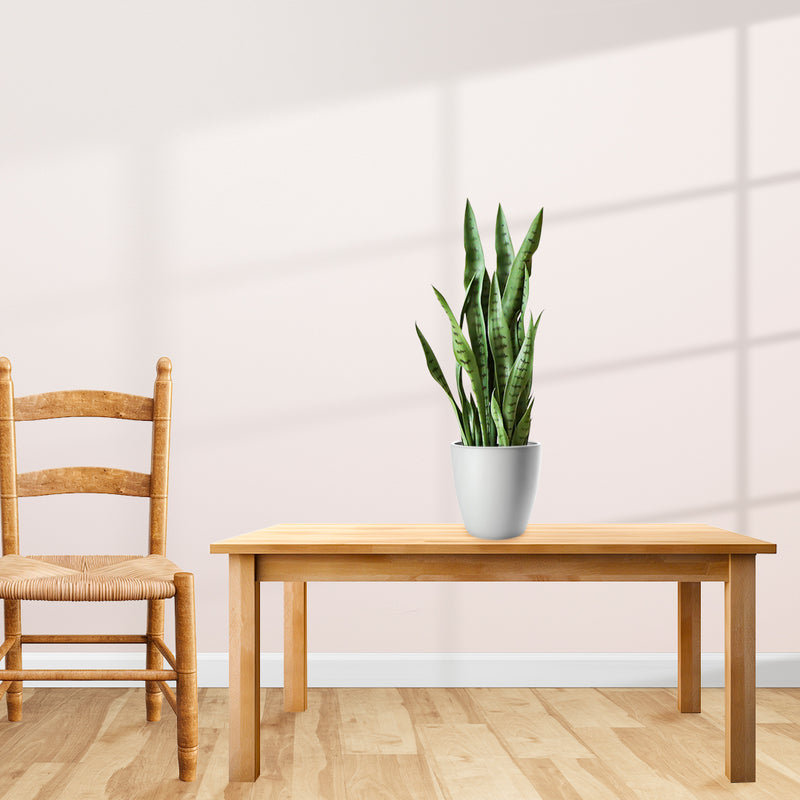 2X 97cm Sansevieria Snake Artificial Plants With Black Plastic Planters Green