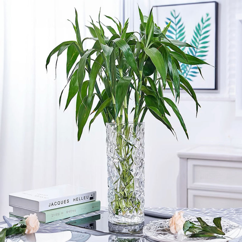 Glass Vase 14cmx30cm Heavy Duty Crystal Clear