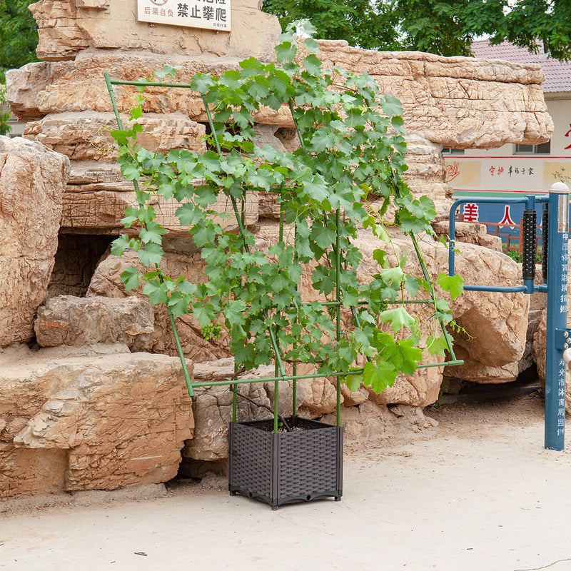 160cm Green Metal Plant Frame Trellis Garden Vine Support Outdoor