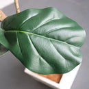 120cm Green Artificial Indoor Tree Realistic Fake Plant Decoration