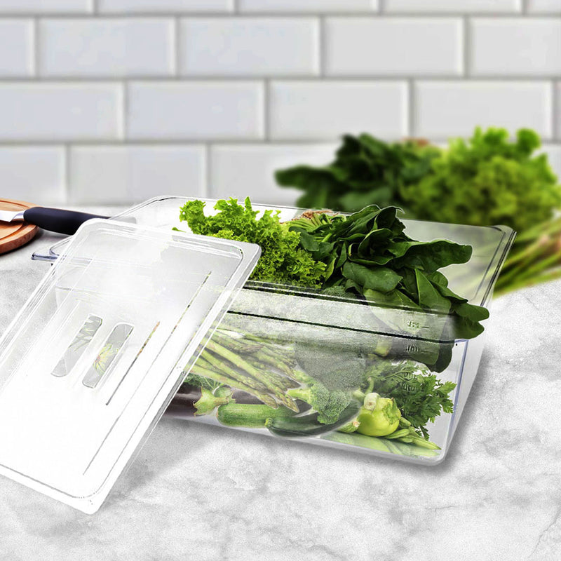 Clear Polycarbonate 200mm GN Food Tray Set of 2 with Lids Storage Durable