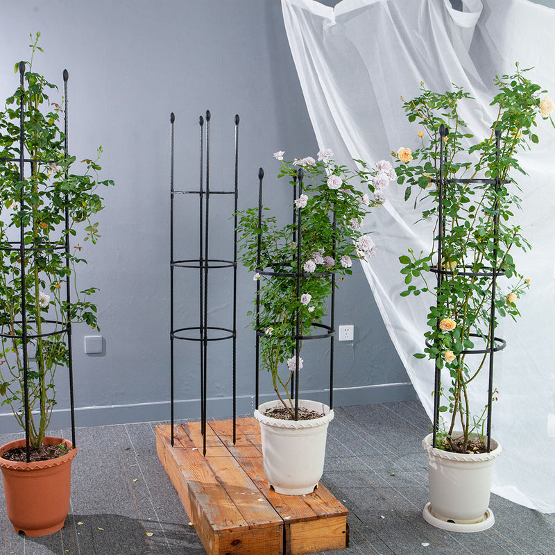 Plant Trellis 163cm 4 Bar Steel Black Adjustable Rings Vine Support