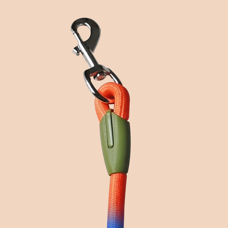 220cm Polyester Braided 1.2cm Double Ended Hands Free Dog Cat Leash Rainbow