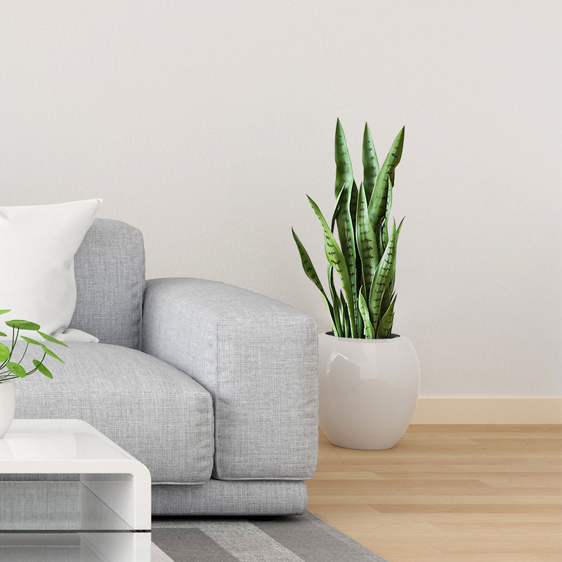 4X 97cm Sansevieria Snake Artificial Plants Plastic Black Planters Green