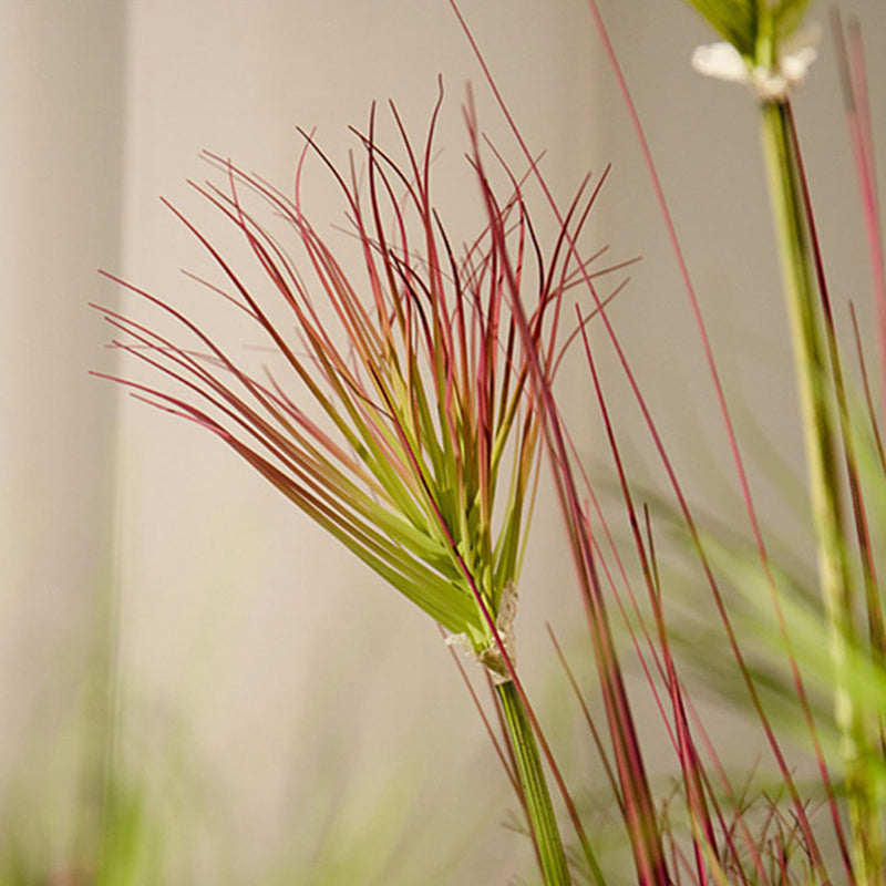 Artificial Papyrus Plant 120cm Purple Red Indoor Outdoor Potted Realistic Decor