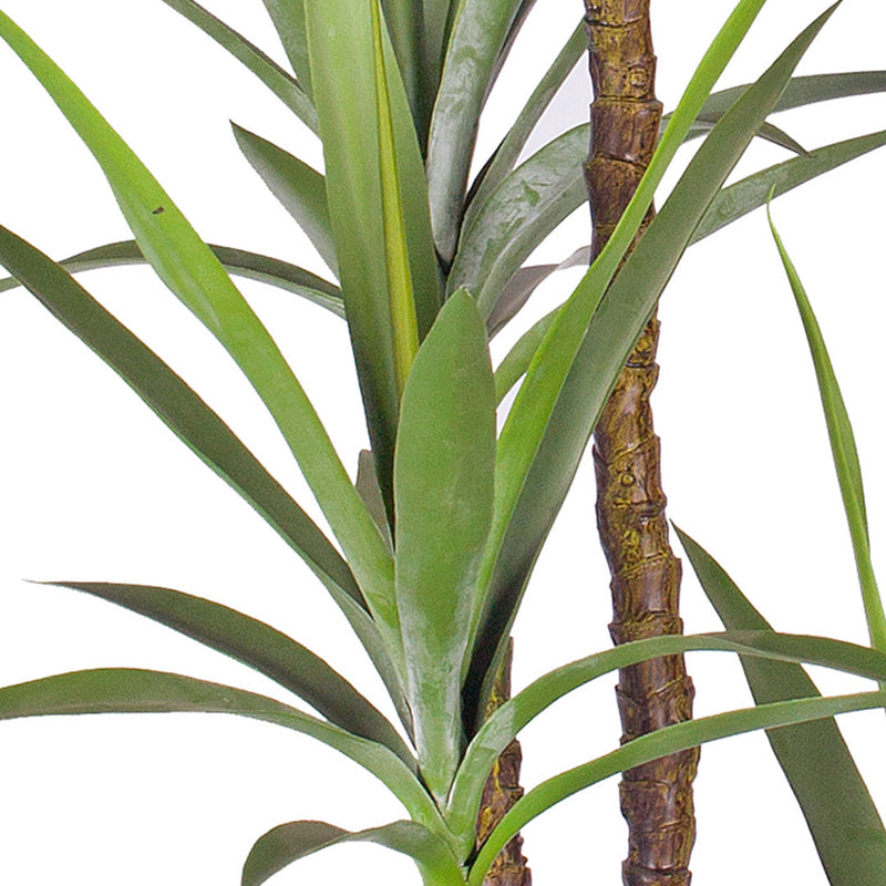 2X 180cm Polyethylene Realistic Yucca Dracaena Tree Green Pot