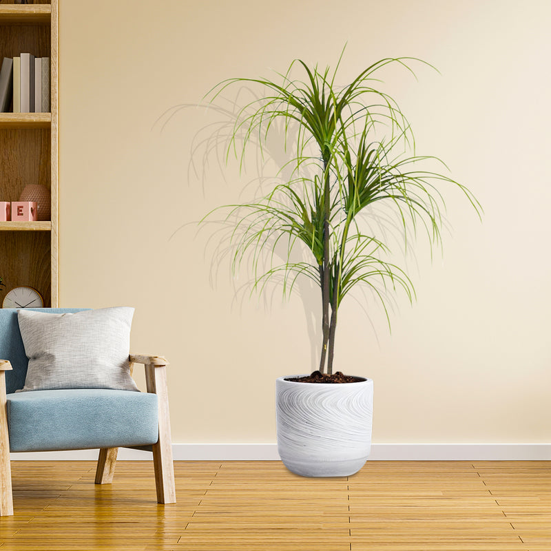 150cm Artificial Potted Polyscias Plant Realistic Synthetic Indoor Outdoor Green