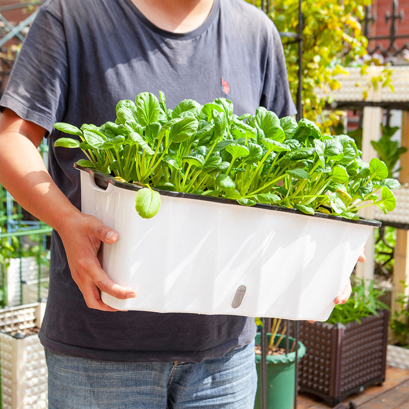 2X Large White Rectangular Flowerpot Herb Vegetable Planter Box Outdoor Decor