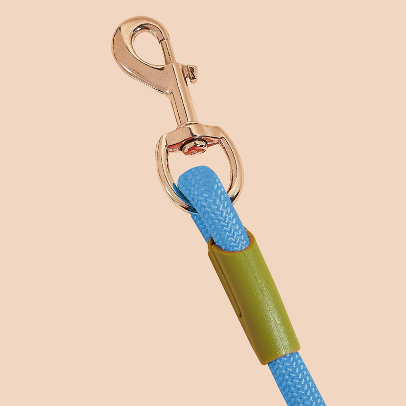 2X 220cm Polyester Rope Double Ended Hands Free Pet Leash For Dogs Cats Blue