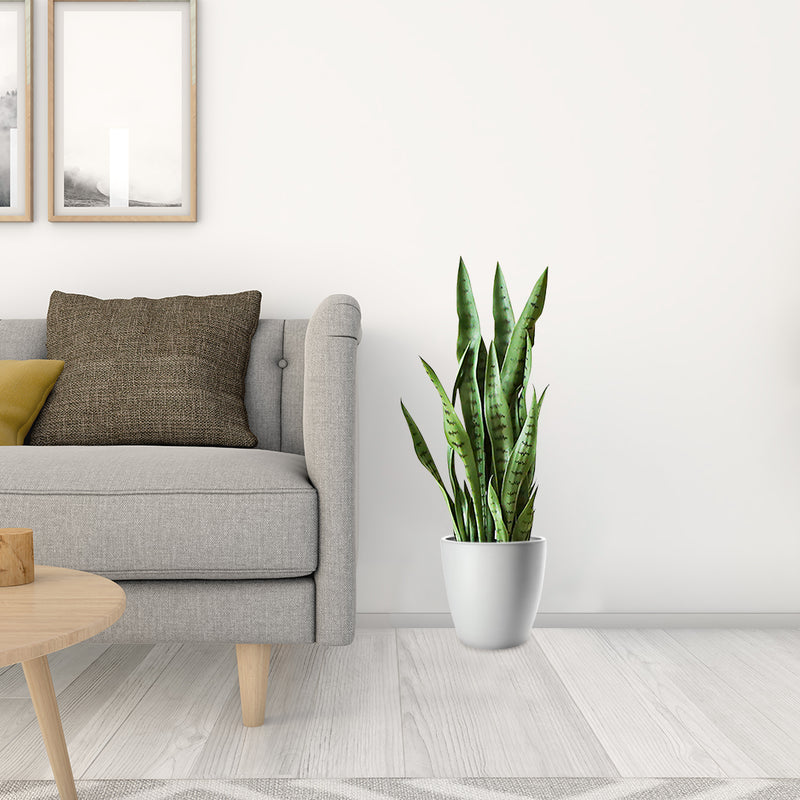 2X 97cm Sansevieria Snake Artificial Plants With Black Plastic Planters Green