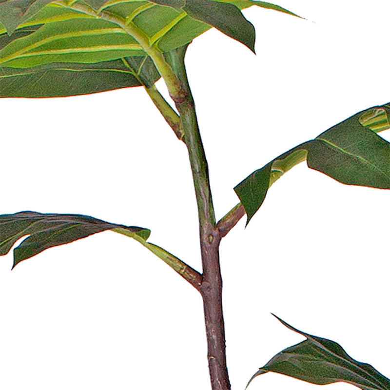 4X 150cm Polyethylene Artificial Split Leaf Philodendron Tree Green Potted